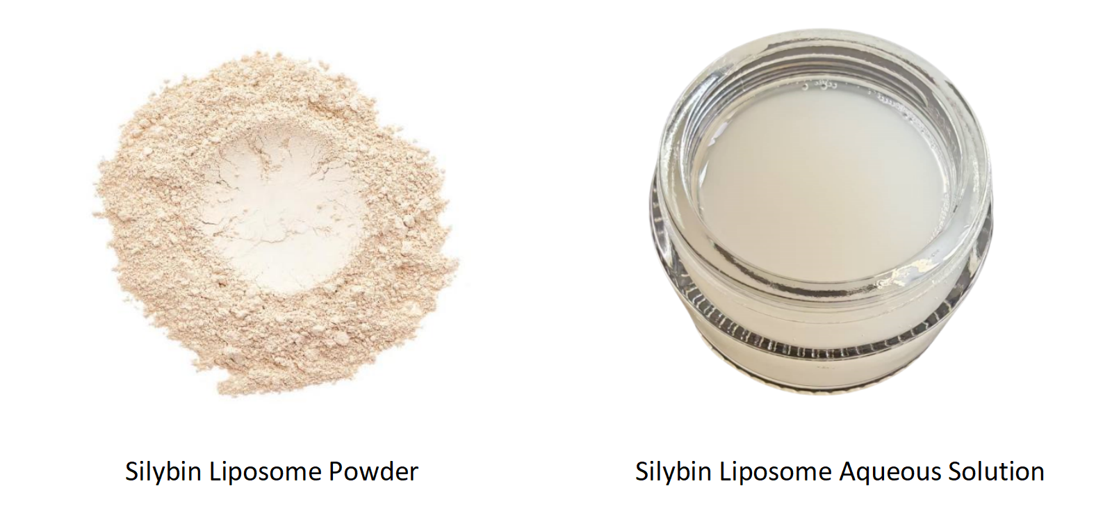 Originbio Silybin Liposome Liquid