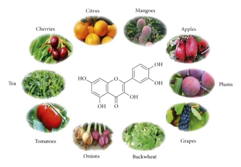 Quercetin Dihydrate
