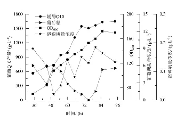 Coenzyme Q10