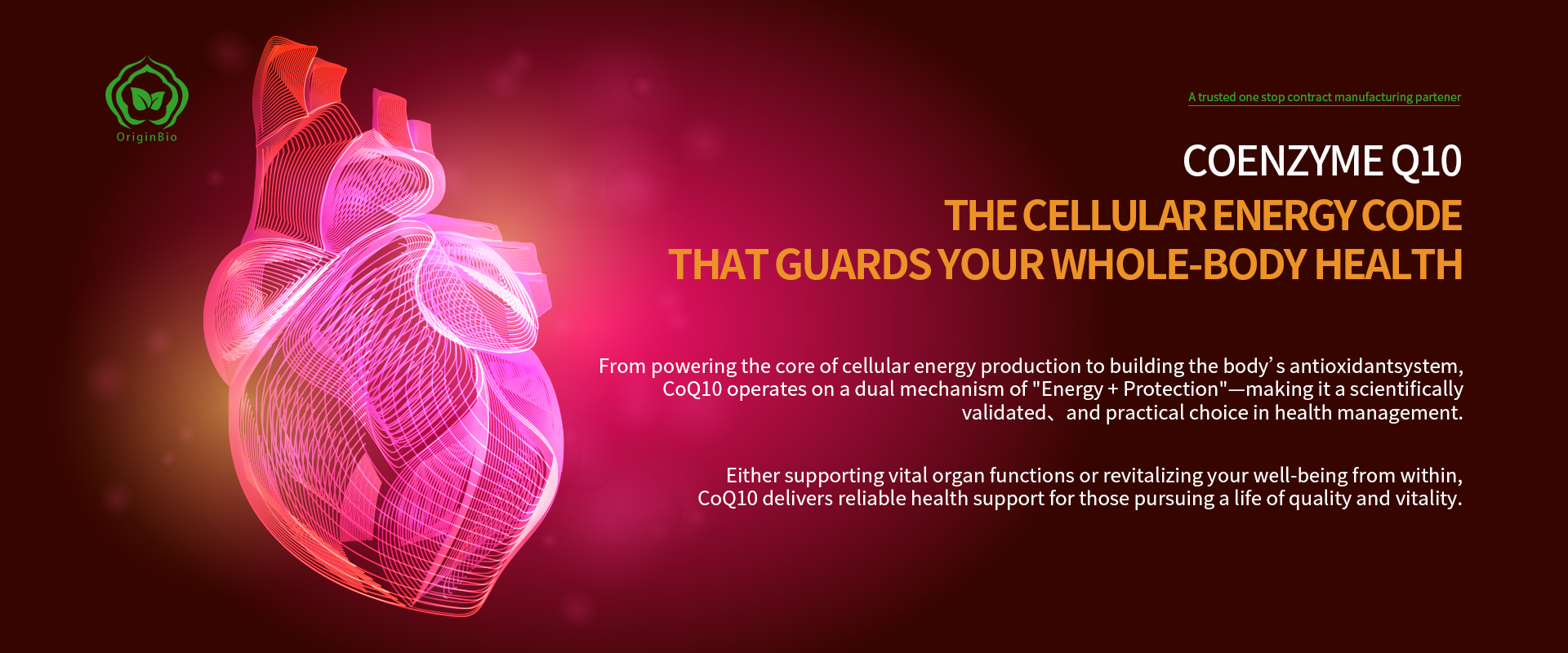 coenzyme q10 