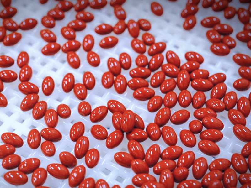 What Sets Us Apart from Other Capsule Manufacturing Companies?