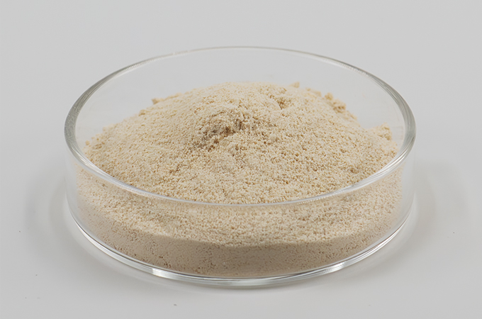 Liposomal Silybin