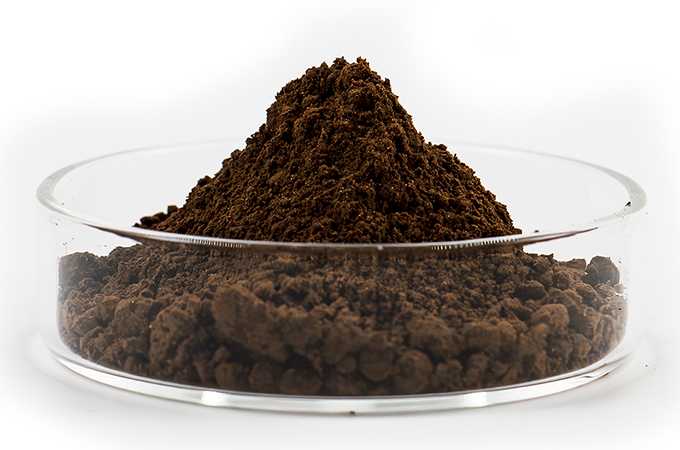 Organic Reishi Powder