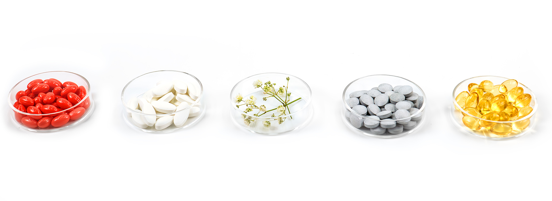 OrginBio：Premier Nutritional Supplement OEM Supplier