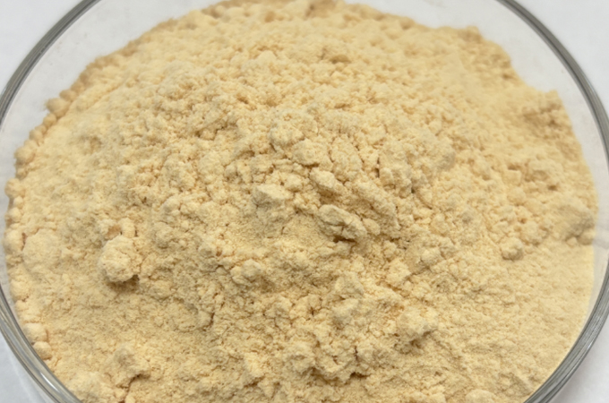 Organic Lion's Mane Powder