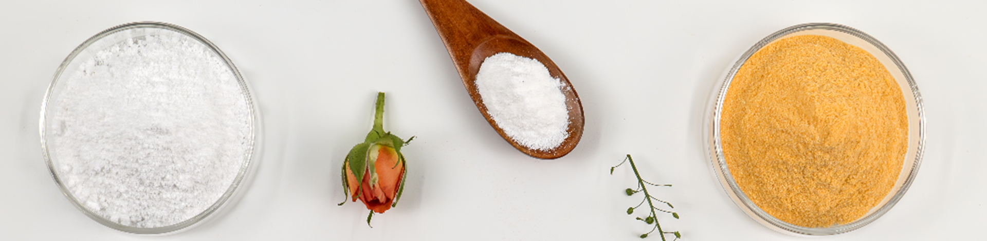 High-Quality Powder Supplements Manufacturer