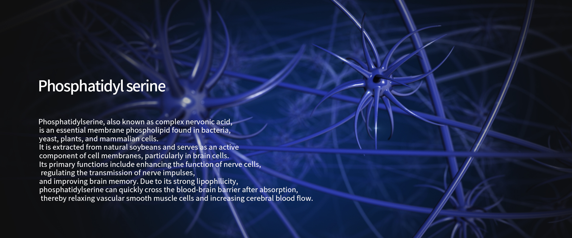 Phosphatidyl_serine-1.jpg