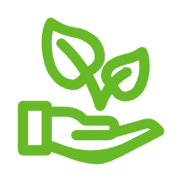Bioavailability Boosting