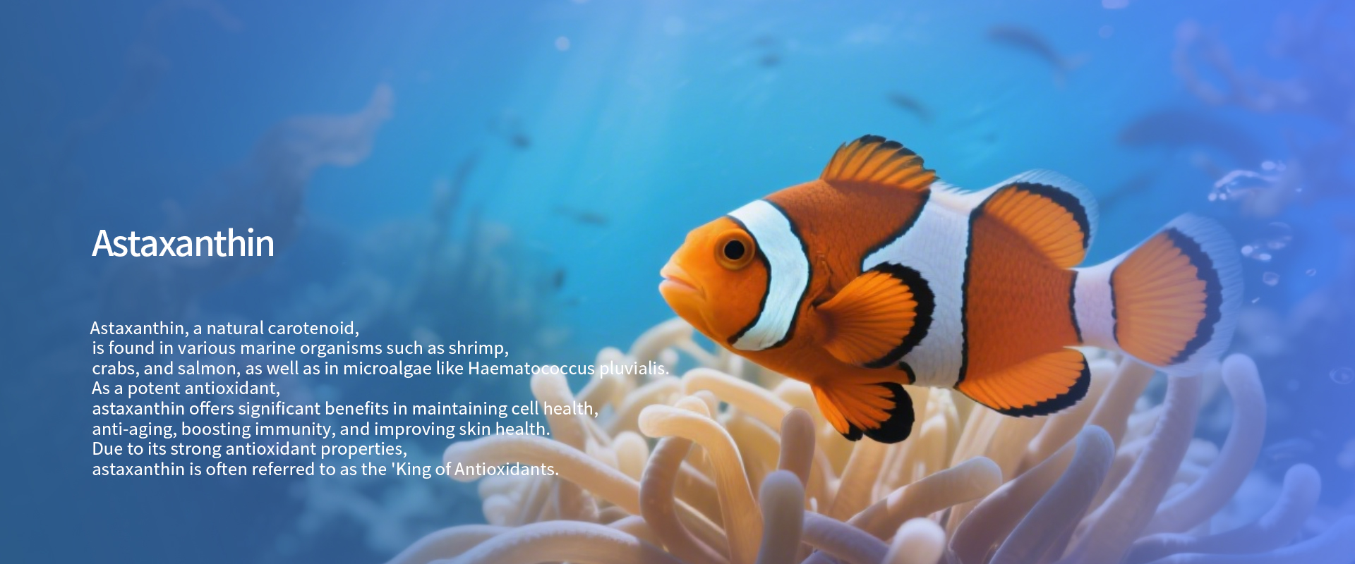 Astaxanthin-1.jpg