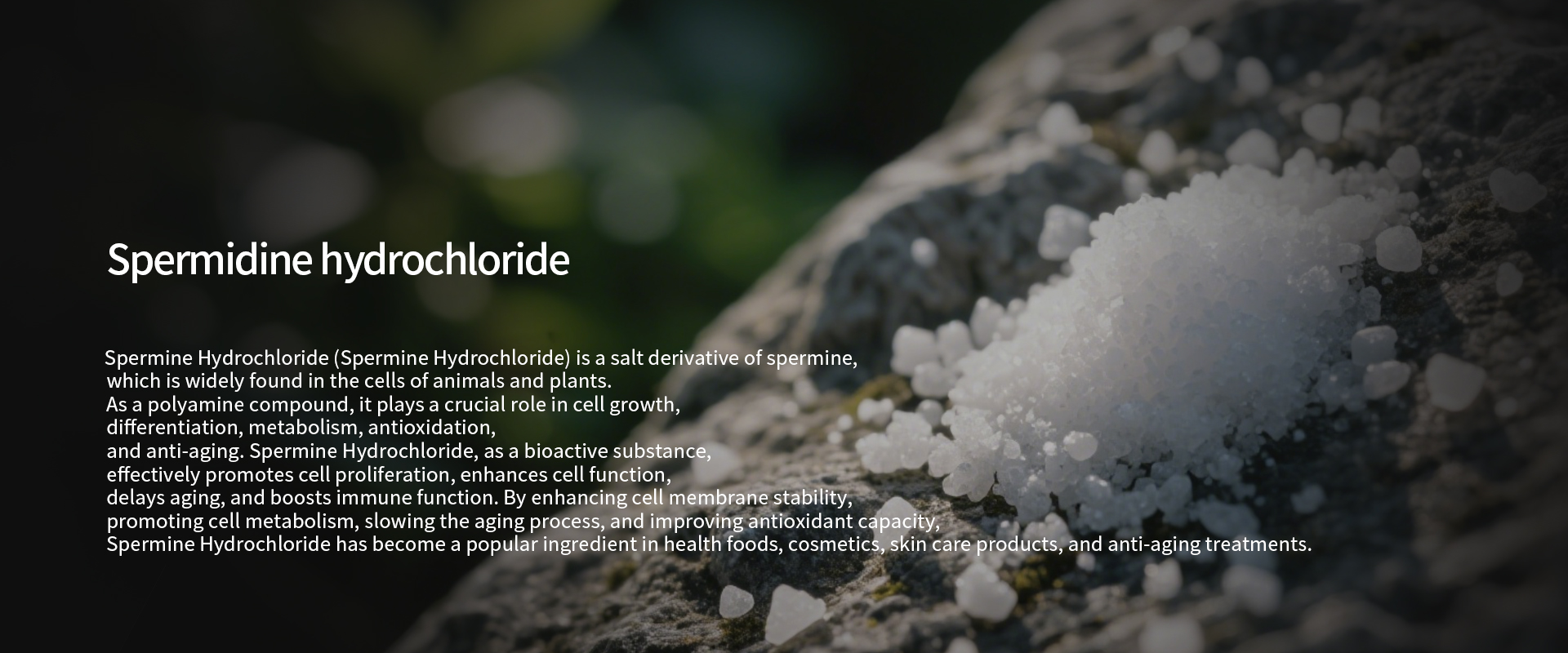 Spermidine_hydrochloride-1.jpg