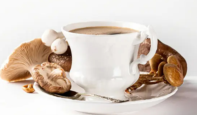 Organic Medicinal Mushroom Supplement