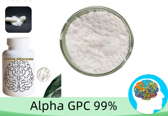 OriginBio_Wholesale__Alpha_GPC_Capsule_OEM_Private_Label_Supplier_For_Distributors.png