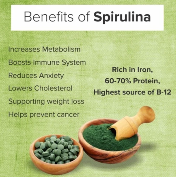 Bulk_Green_Spirulina_Tablets_No_Fishy_Smell_OEM_Dietary_Supplements_Manufacturer.png