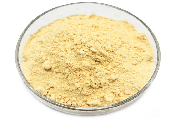 Organic Lion's Mane Powder