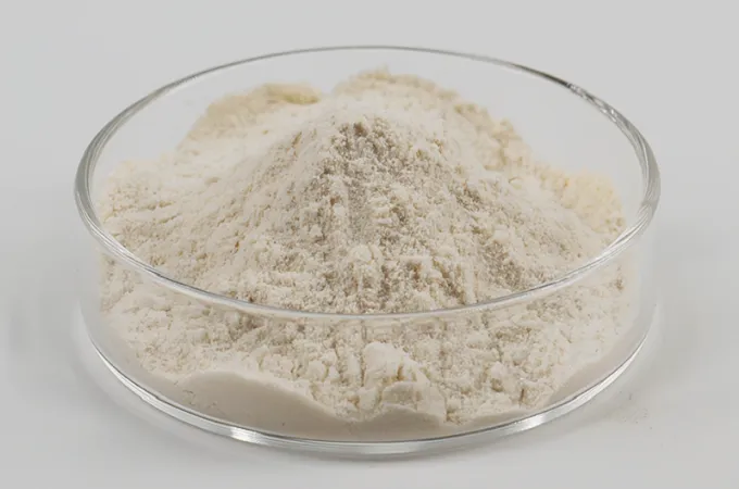 L-Anserine Powder 9%