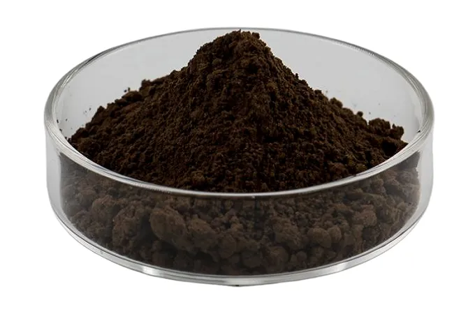 Organic Reishi Powder 200 Mesh