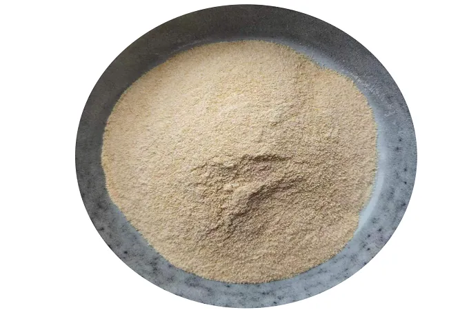 Phosphatidylserine Powder 70%