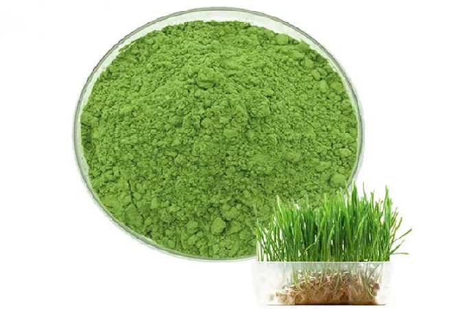 Barley Juice Powder 80 Mesh