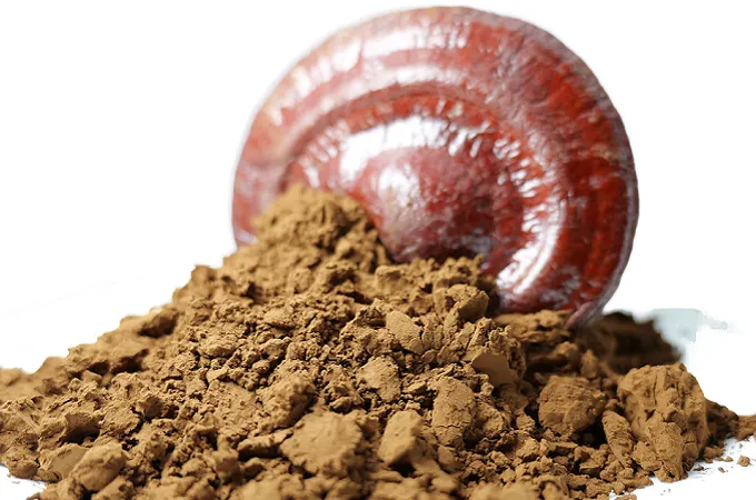 Ganoderma Lucidum Powder 80 Mesh