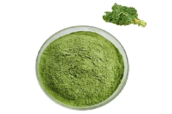 Organic Kale Powder 80 Mesh