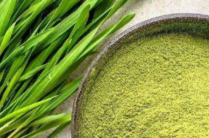 Organic Wheatgrass Powder 80 Mesh