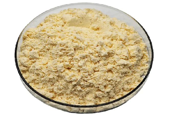 Soy Lecithin Powder 90%