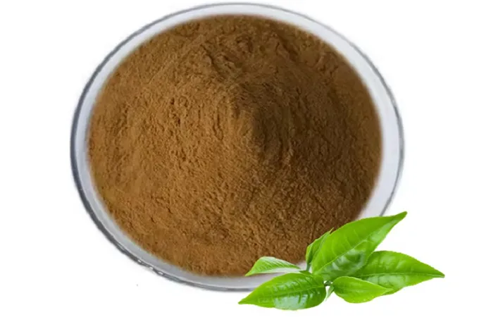 Green Tea Extract 50%