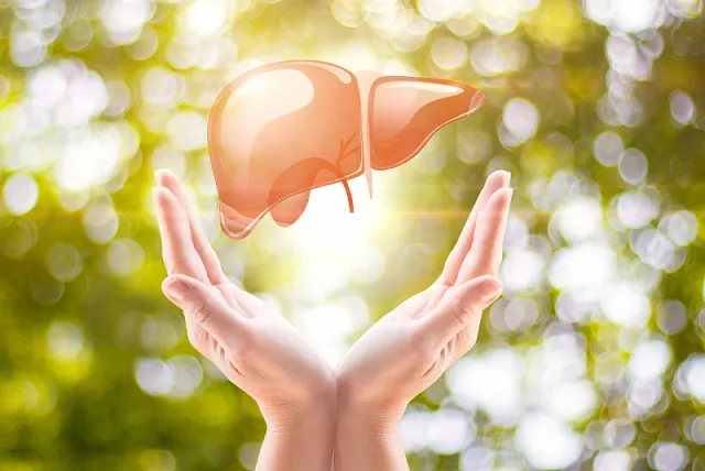 OEM Nutraceutical Premix Powder Solutions Cover Range of Health Sectors