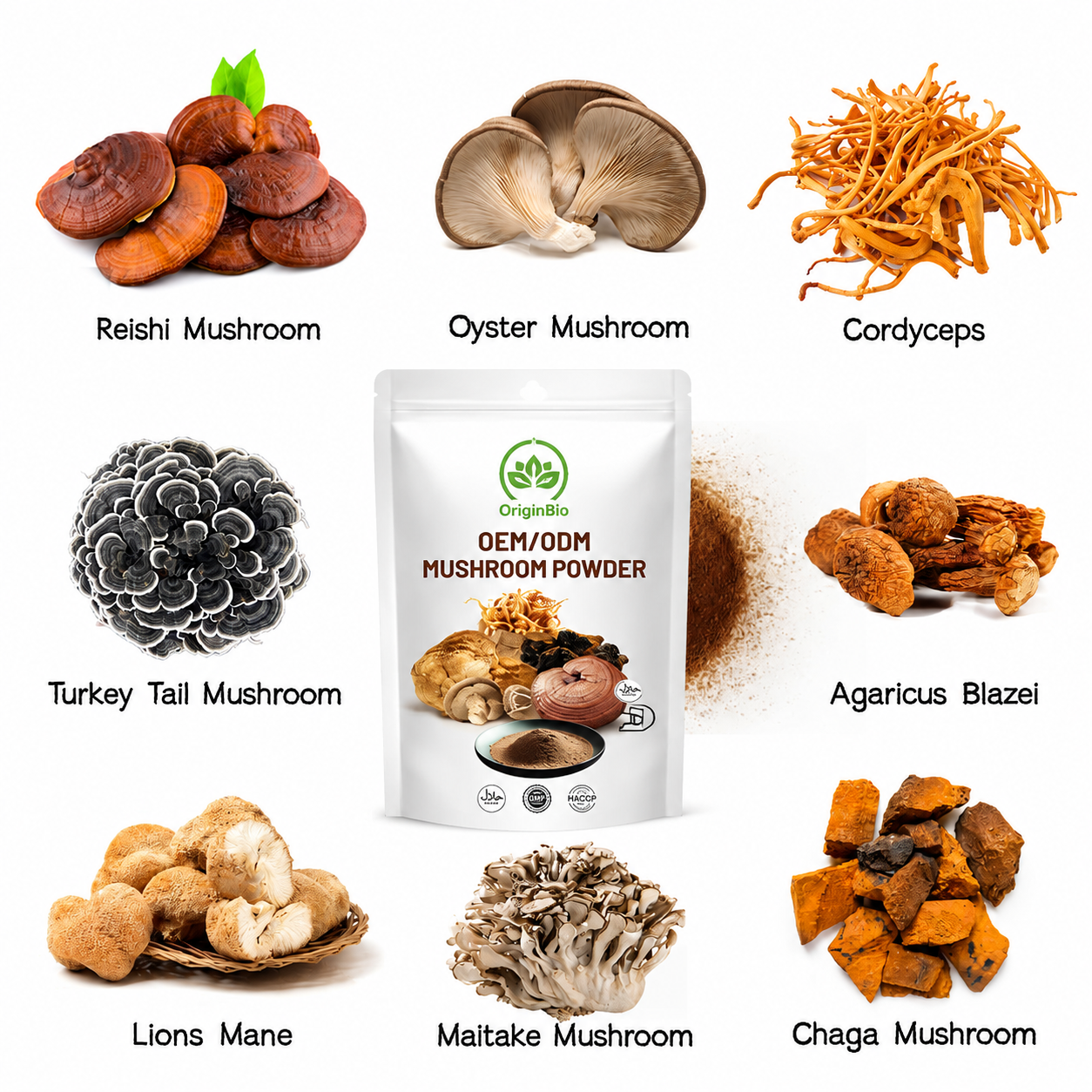 mushroom_powder.png