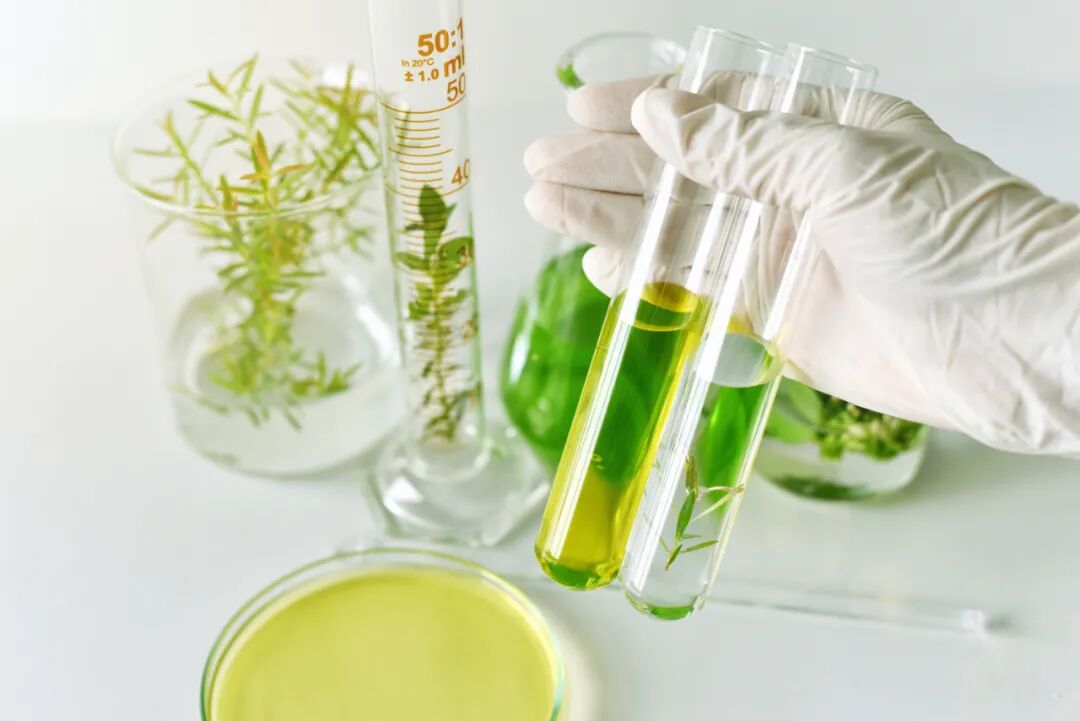 Raw Material Testing Raw Material Testing