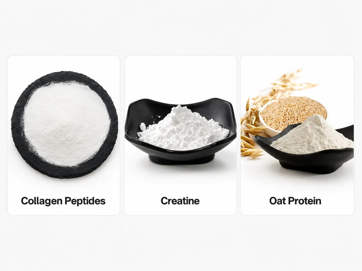 2026 Functional Ingredient Trends Report: The Health Revolution Moving Beyond Supplements into Everyday Foods