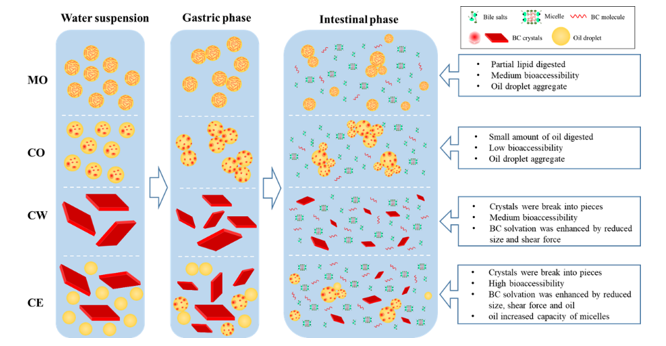 Microcapsules Nanoemulsions and Nutrient Carrier Design