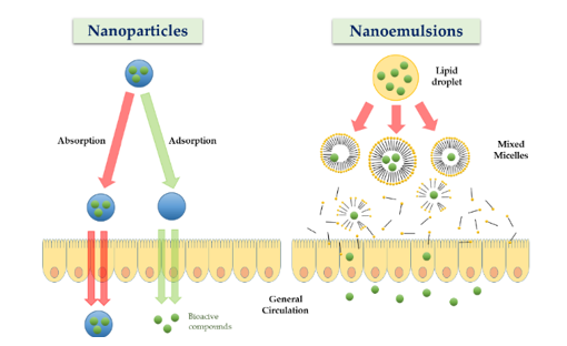 Microcapsules Nanoemulsions and Nutrient Carrier Design2