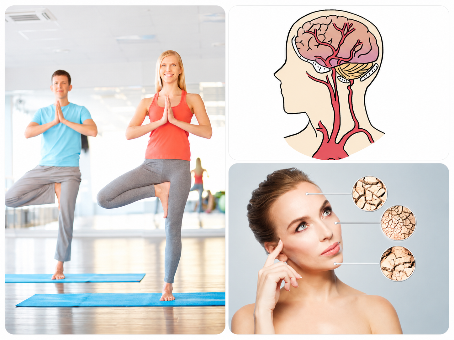 Recovery,_Cognitive_Health.png Recovery,_Cognitive_Health.png