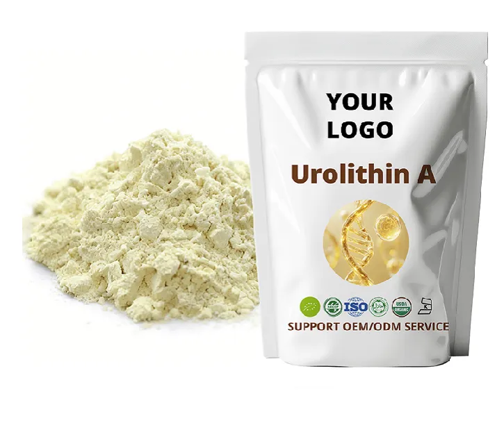 Urolithin A: The Next-Generation Healthy Aging Ingredient Supporting Mitochondrial Health