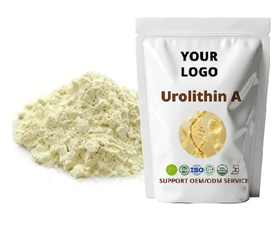 Urolithin A: The Next-Generation Healthy Aging Ingredient Supporting Mitochondrial Health