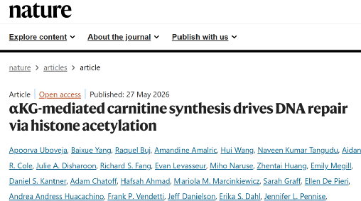 nature.png nature.png