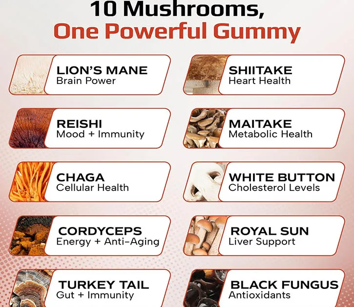 Mushroom Gummies Trends in 2027: The Future of Functional Supplements
