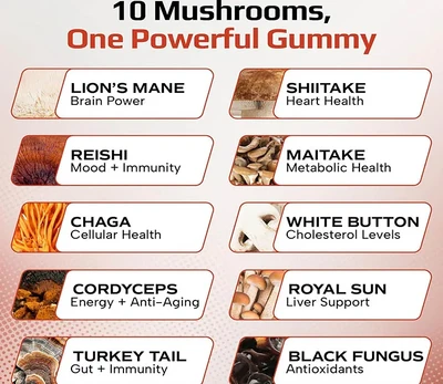 Mushroom Gummies Trends in 2027: The Future of Functional Supplements