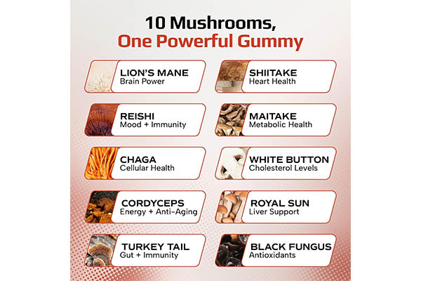 mushroom-gummies-trends-in-2027-the-future-of-functional-supplements01.jpg mushroom-gummies-trends-in-2027-the-future-of-functional-supplements01.jpg