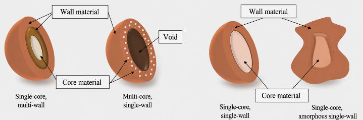 microencapsulation-in-functional-nutrition-2.jpg microencapsulation-in-functional-nutrition-2.jpg