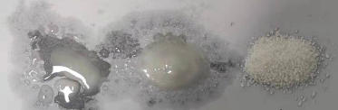microencapsulation-in-functional-nutrition-5.jpg