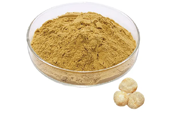 Organic Lion's Mane Extract
