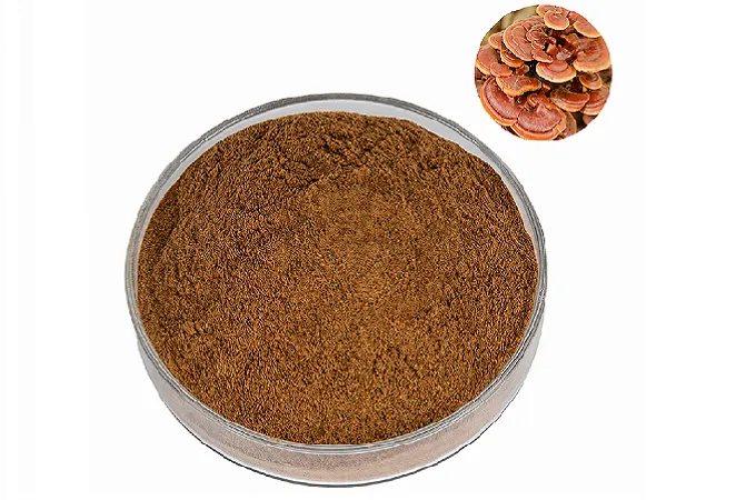 Organic Reishi Extract