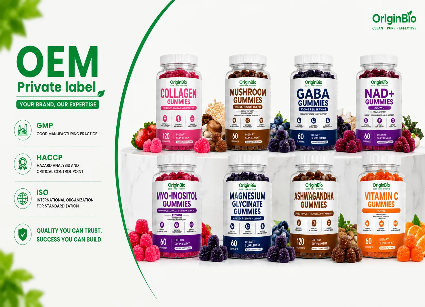 Gummy Supplement Banner showing various product bottles and ingredients