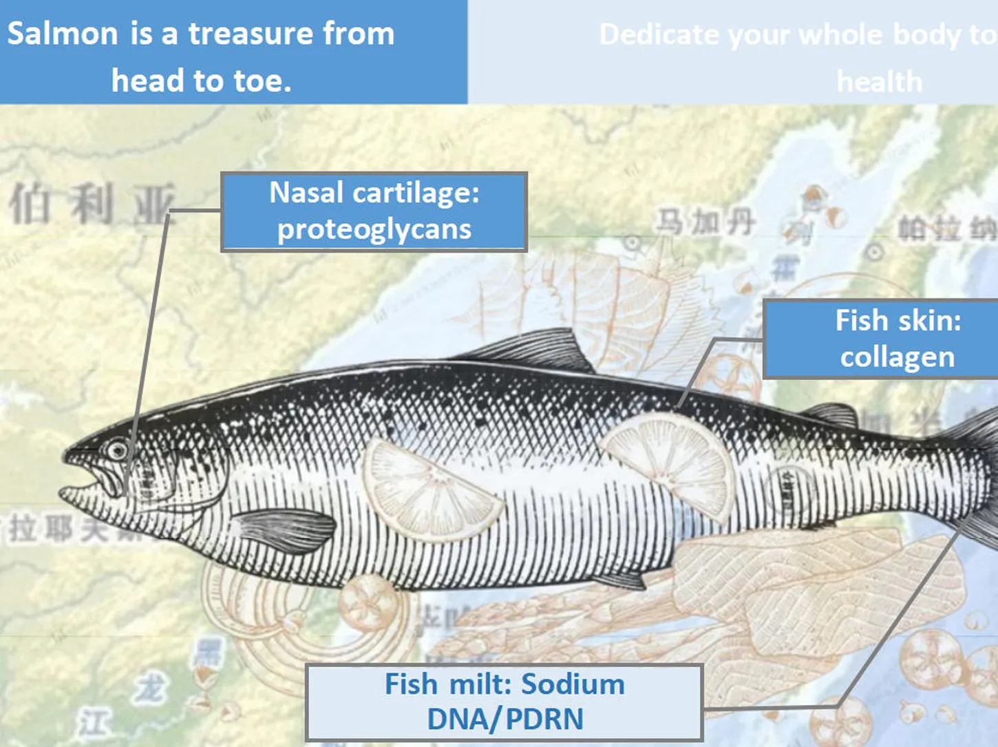 Salmon Sperm Extract /Polydeoxyribonucleotide (PDRN)