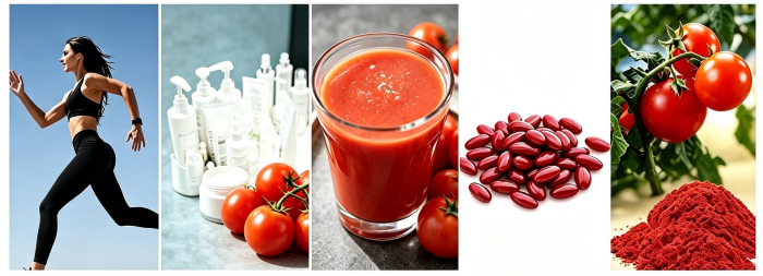 lycopene02.png lycopene02.png
