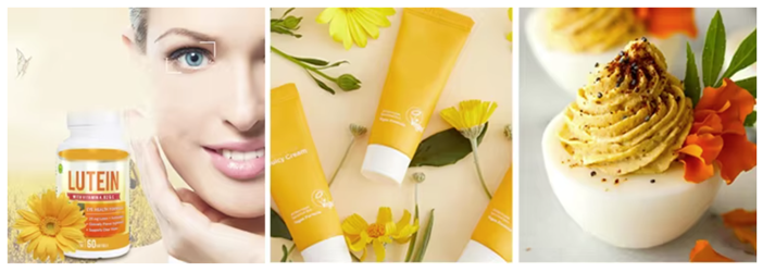 Application of Lutein Marigold Flower Extract Powder Application of Lutein Marigold Flower Extract Powder