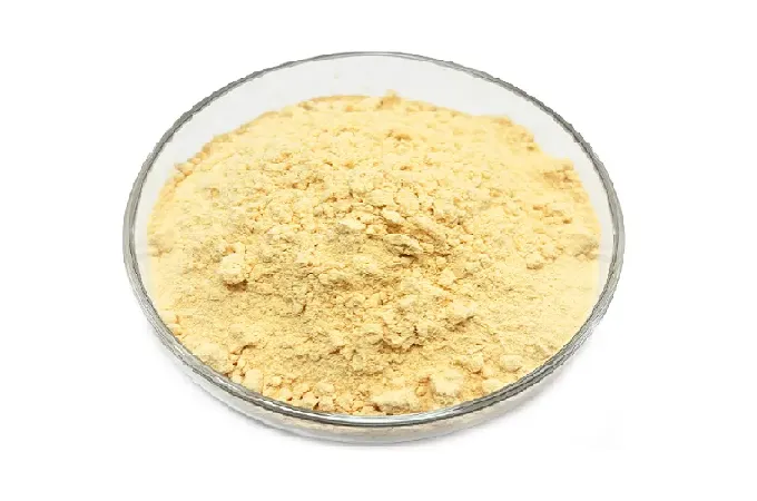 Organic Lion's Mane Mushroom Powder 120 Mesh