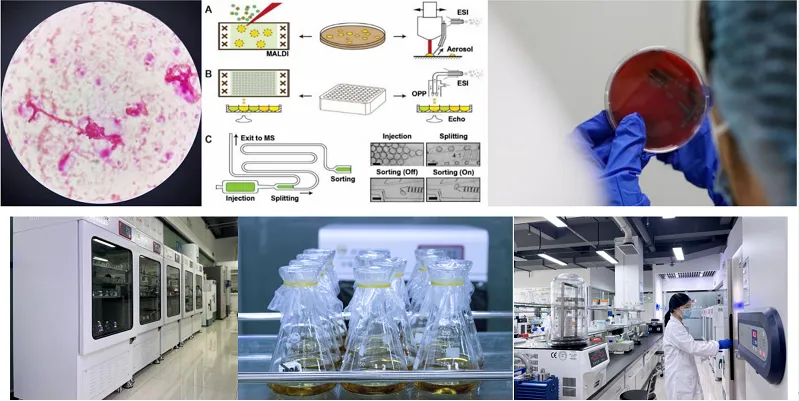 R&D, analytical and application-development capabilities. R&D, analytical and application-development capabilities.